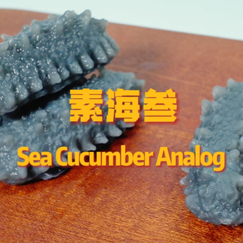Sea Cucumber Analog